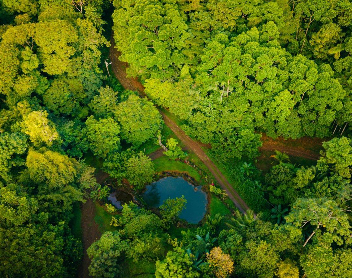 Mirador Prendas Sarapiquí Kültér fotó