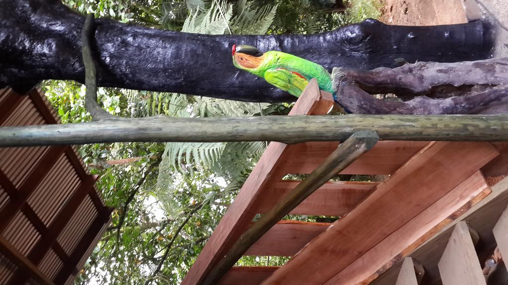 Mirador Prendas Sarapiquí Kültér fotó